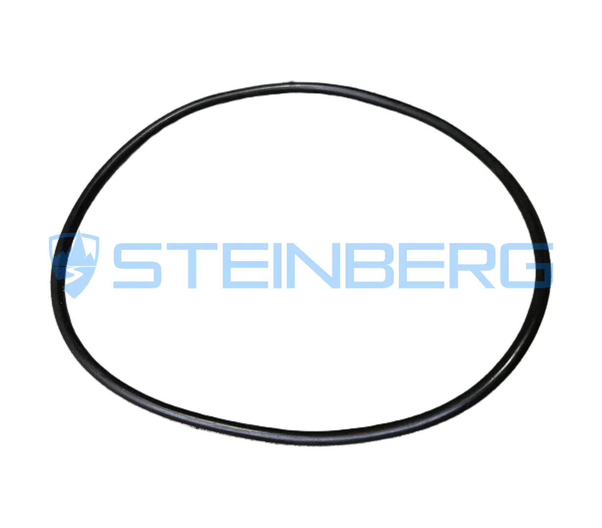 CVS Ferrari 100265 O-ring