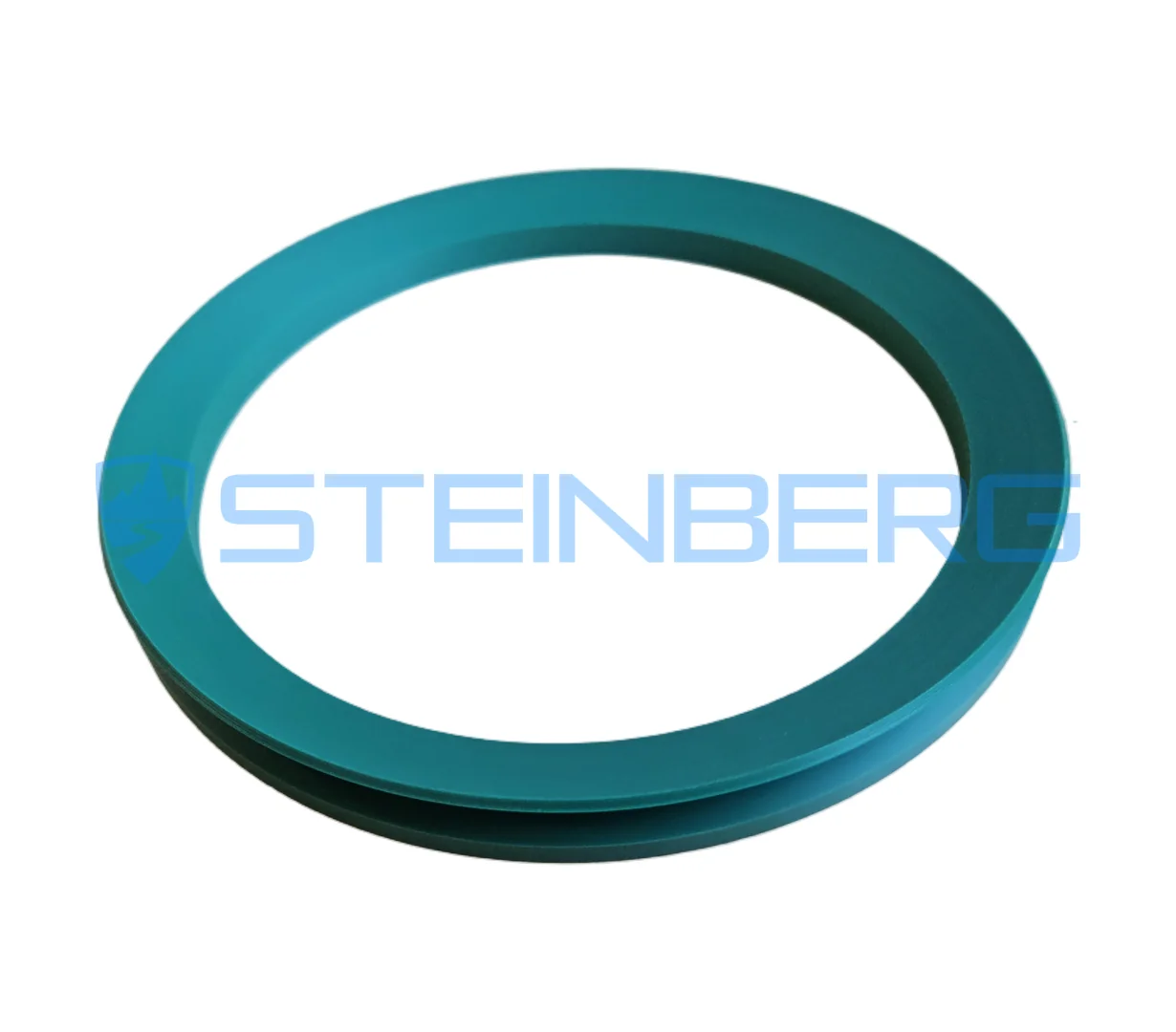CVS Ferrari 543708 V-ring