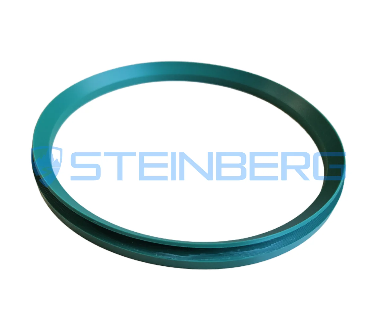 CVS Ferrari 552134 V-ring