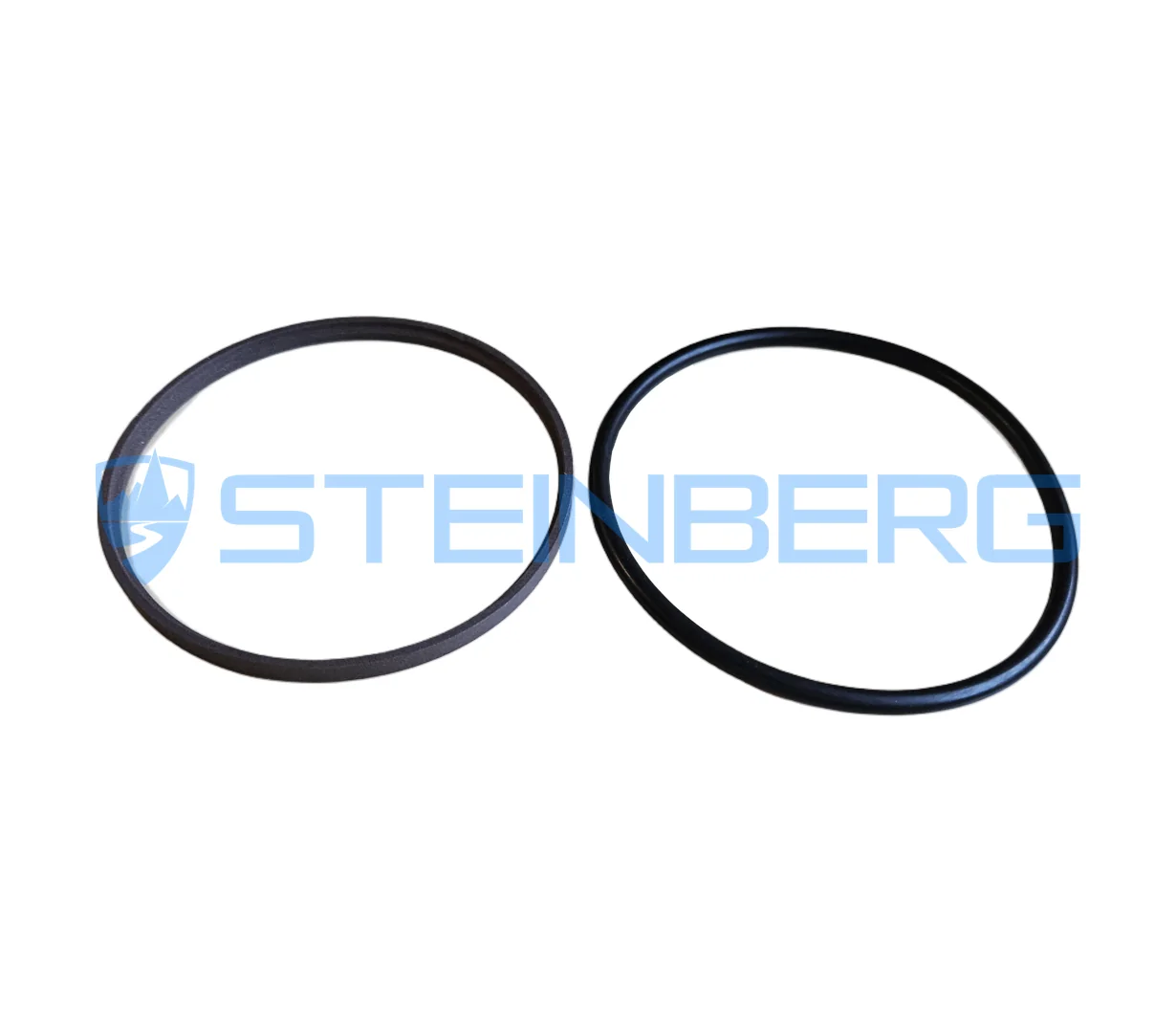 CVS Ferrari 560109 Gasket