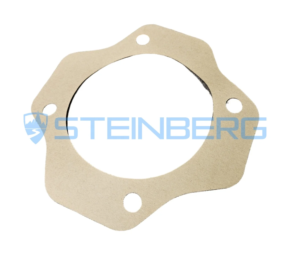 CVS Ferrari 566015 Gasket