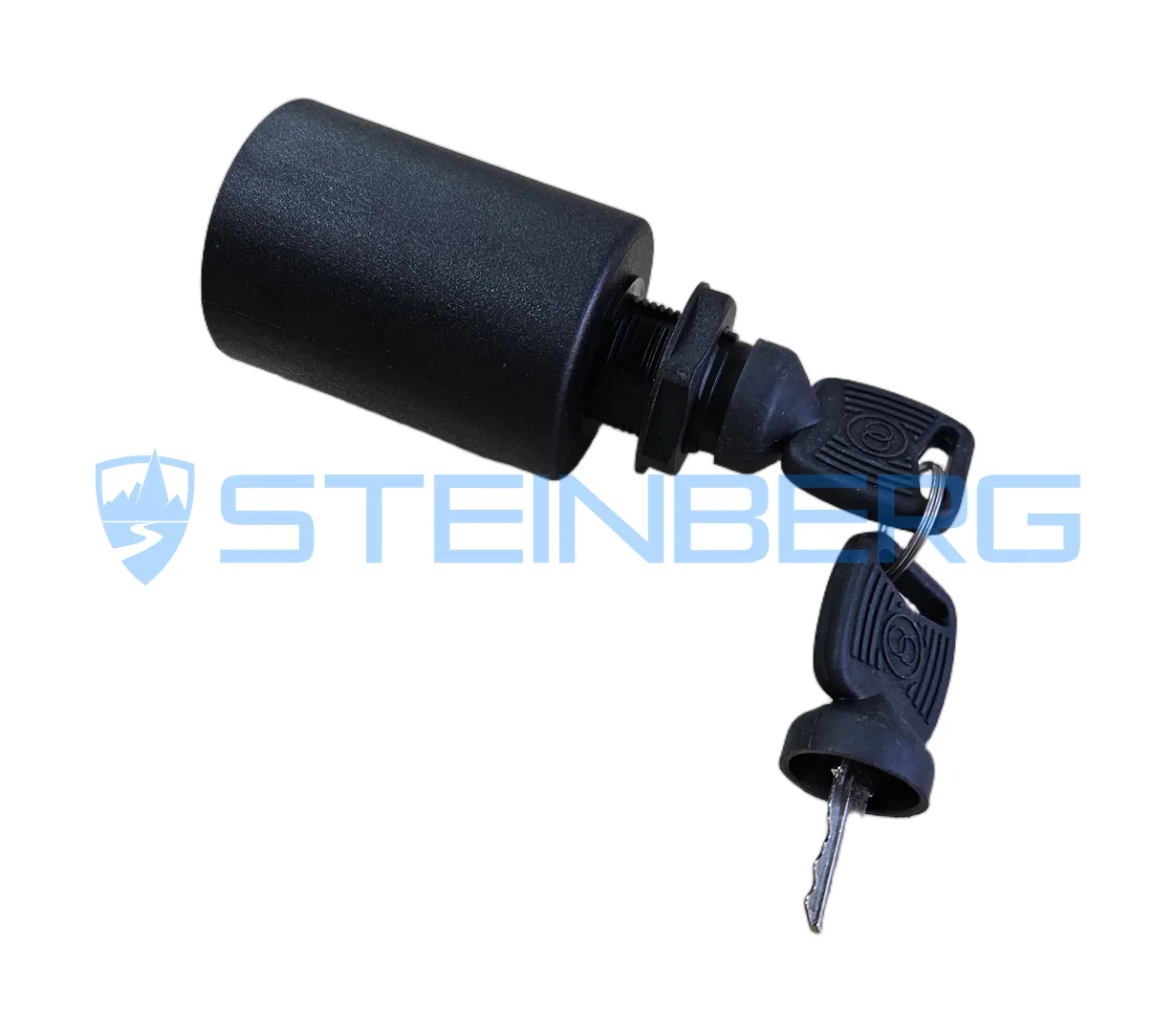 CVS Ferrari 573765 Ignition switch