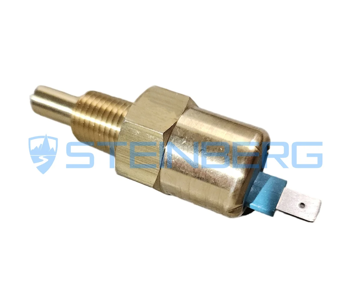 CVS Ferrari 617493 Temperature switch