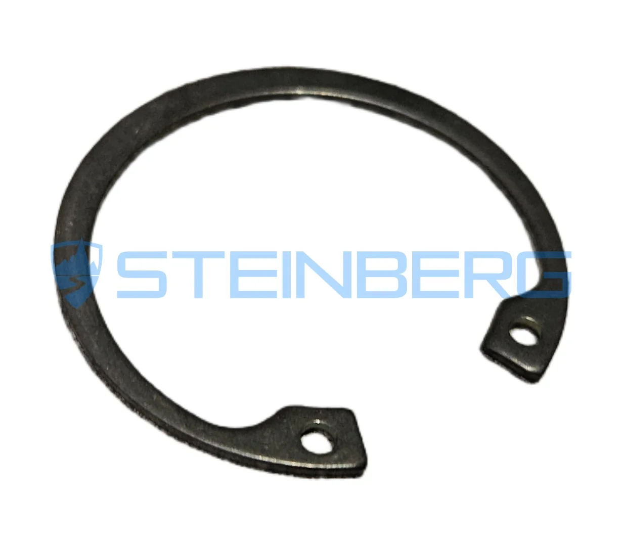 CVS Ferrari 620113 Circlip