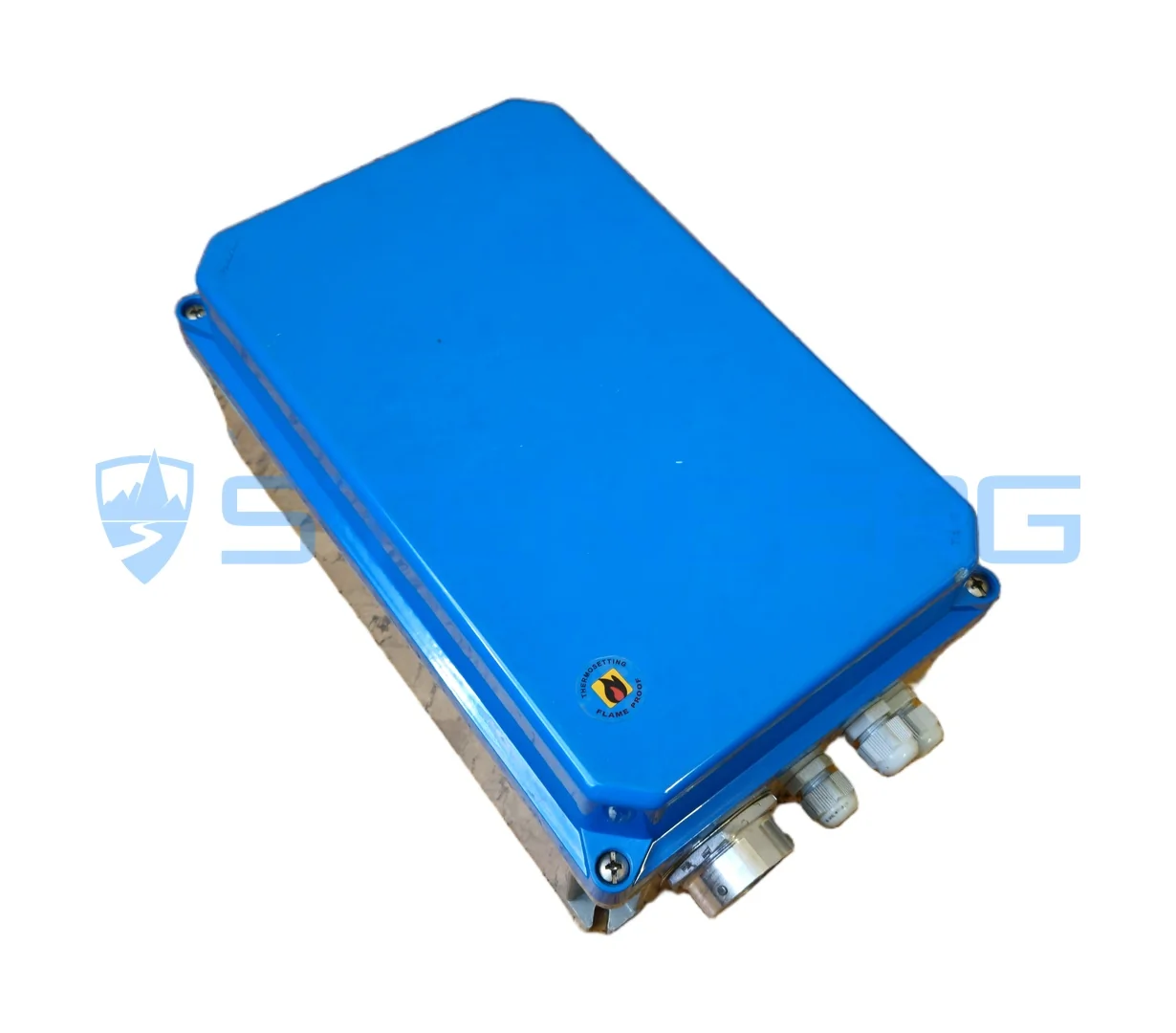 CVS Ferrari 622828 Control unit