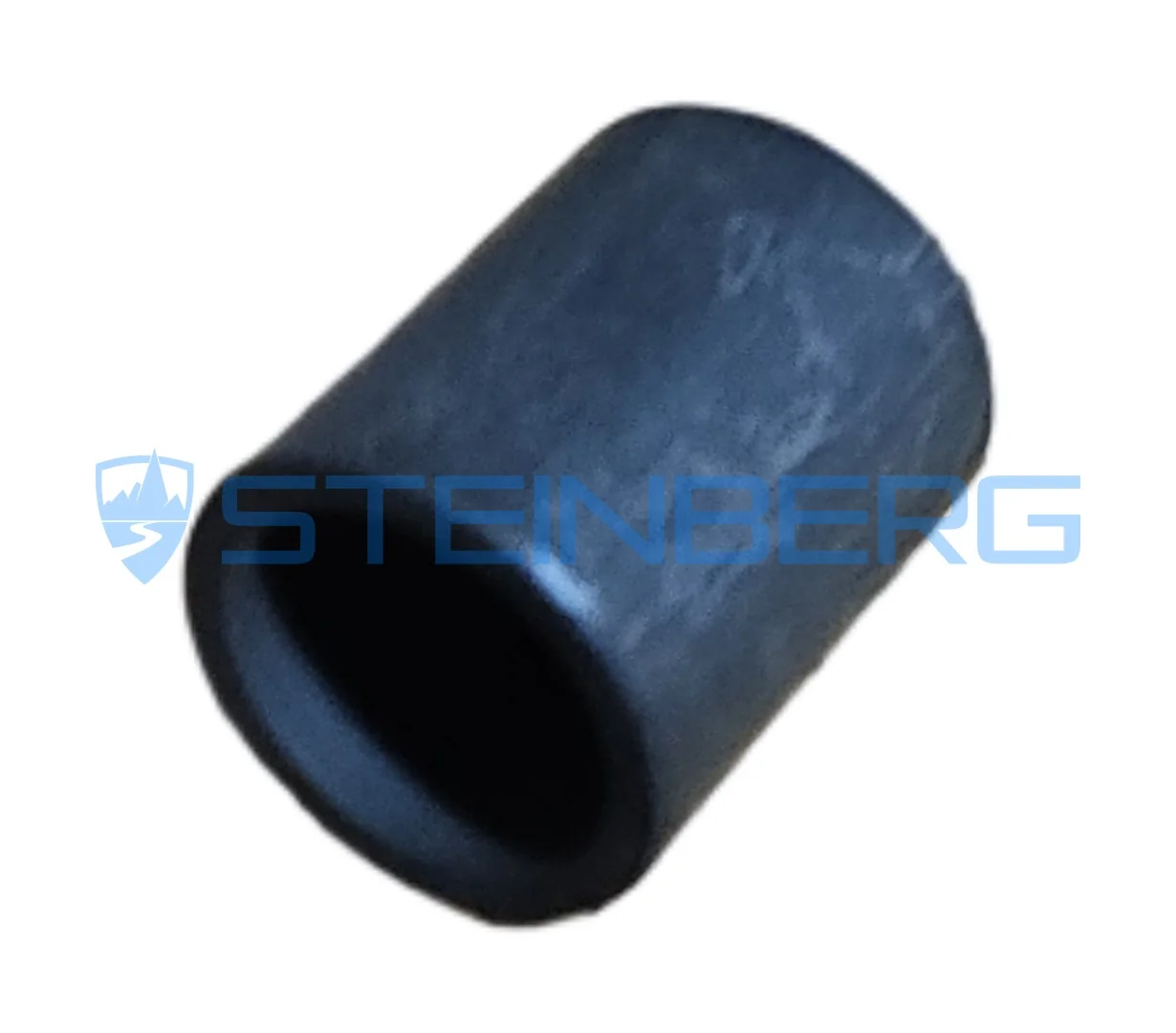 Dana 248173 Bushing