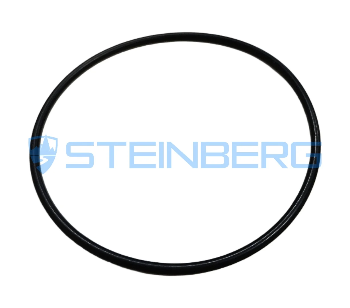 FTMH 200280-48 O-ring