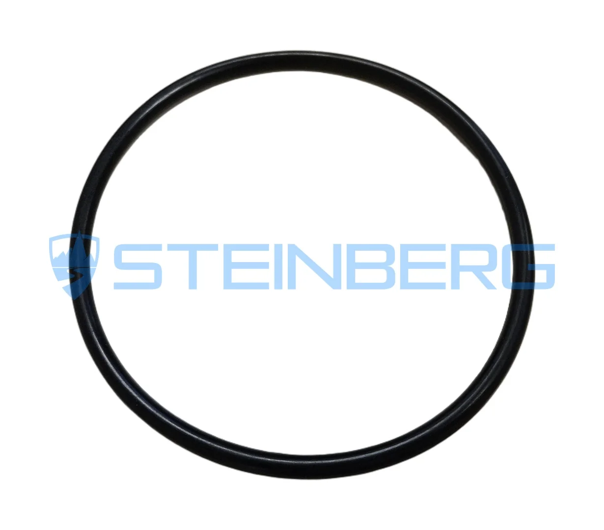 FTMH 200280-49 O-ring
