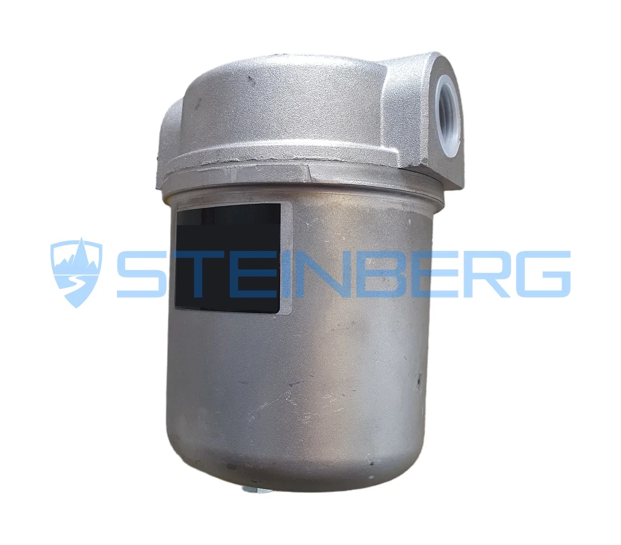 Fantuzzi 2562.180.0001 Fuel filter