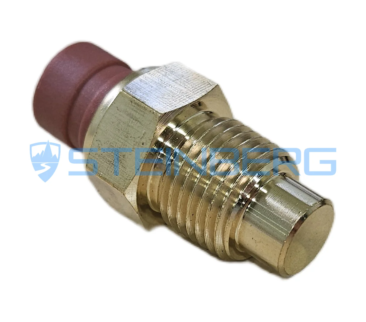 Fantuzzi 29845716 Thermostat