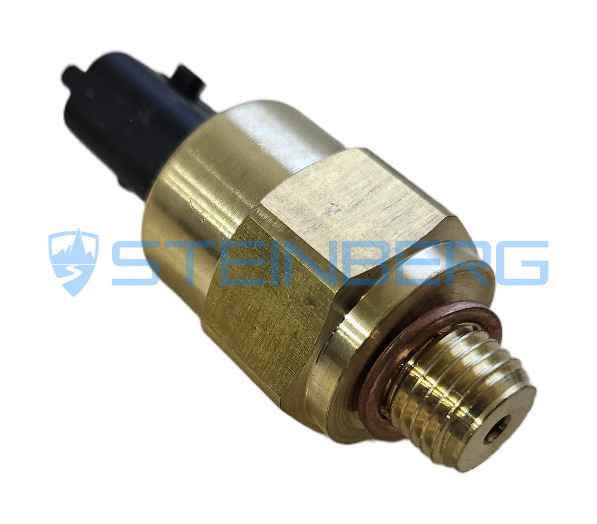 Fuchs 5411664854 Pressure switch