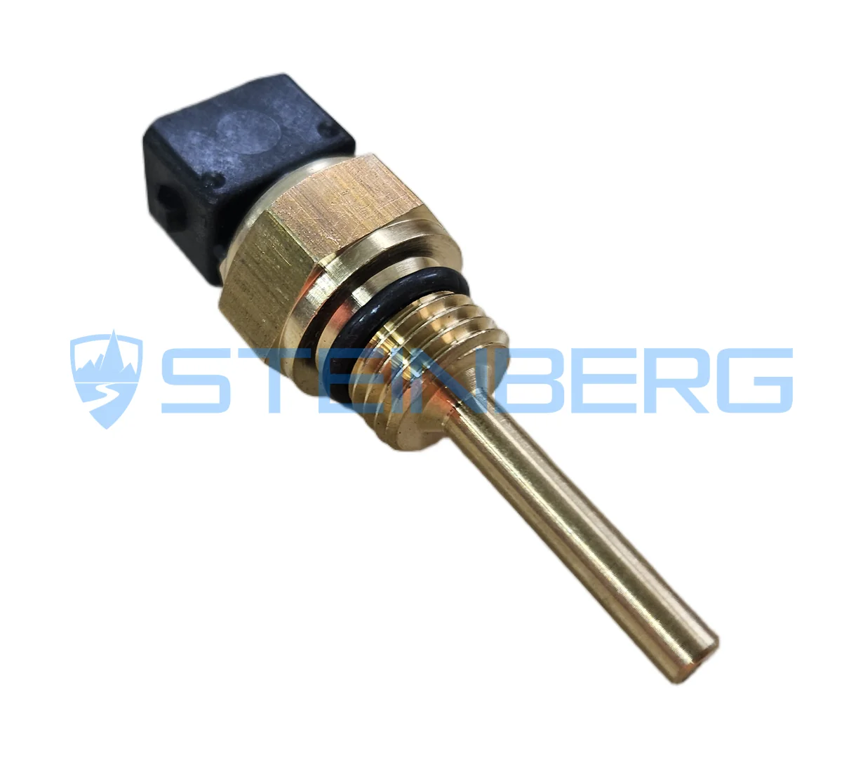 Hyster 4024302 Temperature sensor