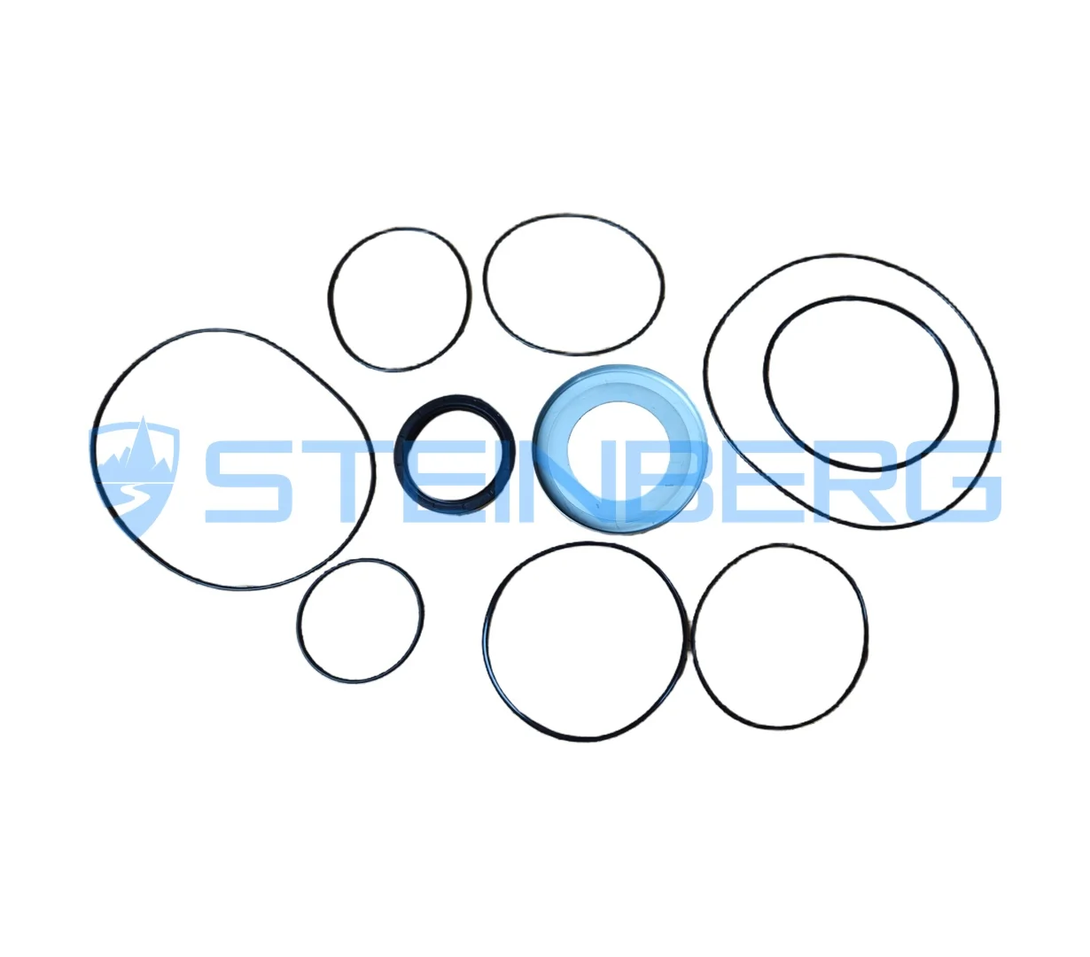 Hyster 6999031 Seal kit