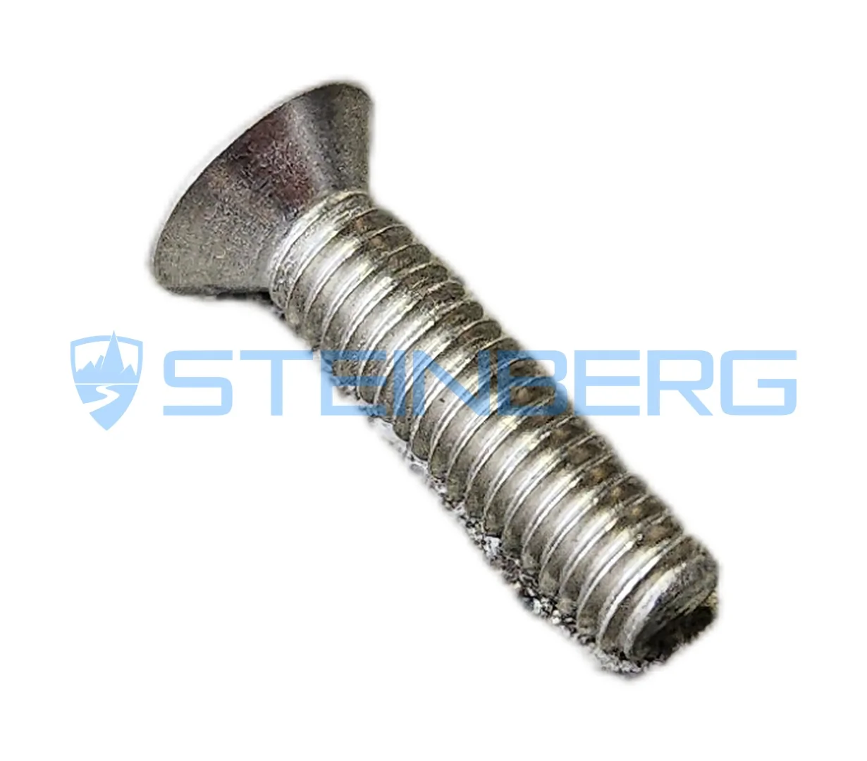 Kalmar A27814.0100 Screw