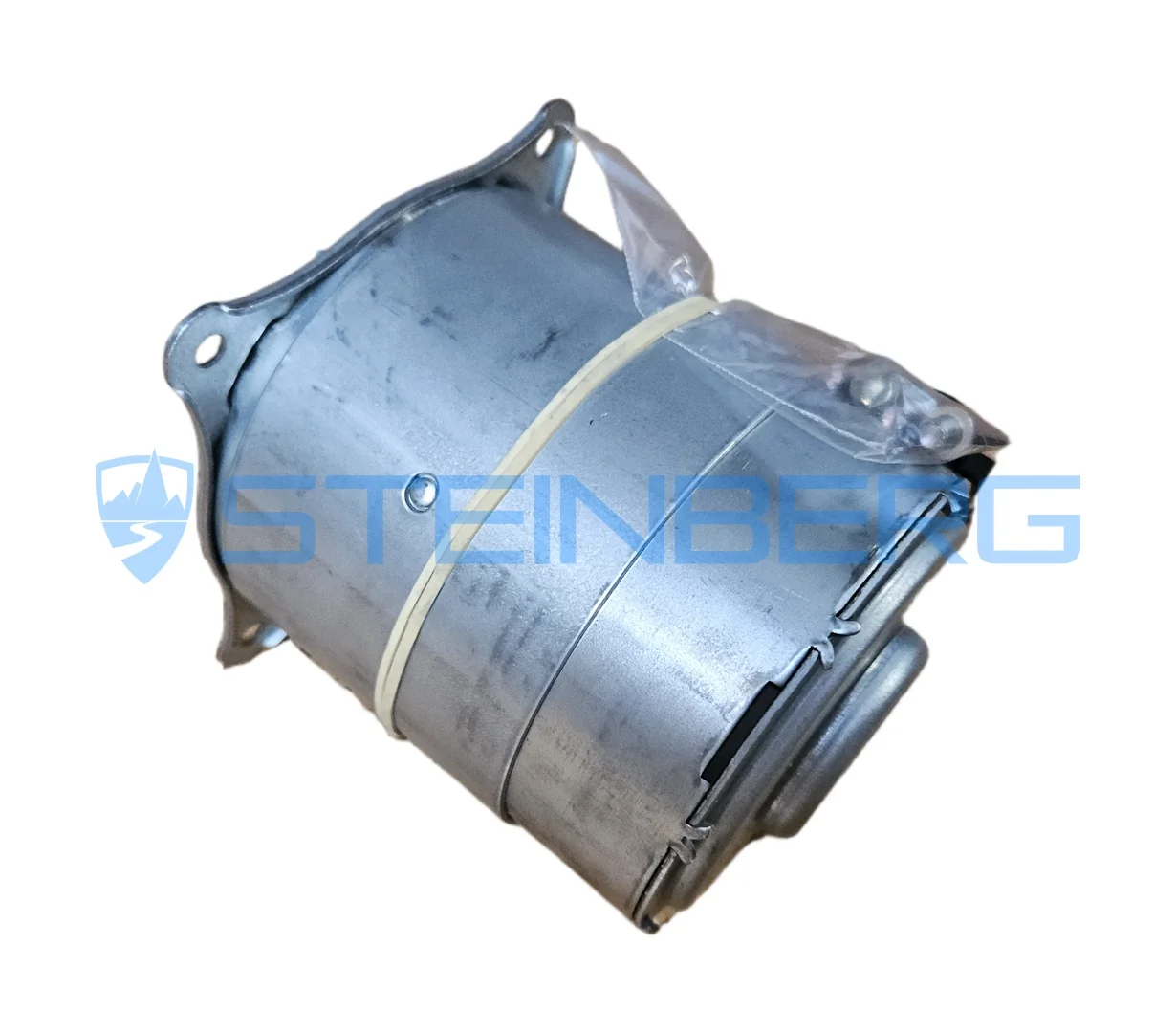 Linde 0009760968 Pumpenmotor